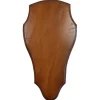 TERZEO CHASSEURS ECUSSON BOUT ROND 45X24 MOYEN> Chasse Du Grand Gibier·Accessoires Pour Trophées