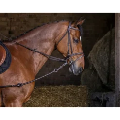 RIDING WORLD ENRENEMEMENT PIRELLI><noscript><img width=