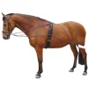 HARRY'S HORSE ENRENEMENT TYPE PESSOA CHEVAL> Enrênements Et Travail À Pied·Enrênements Travail À Pied