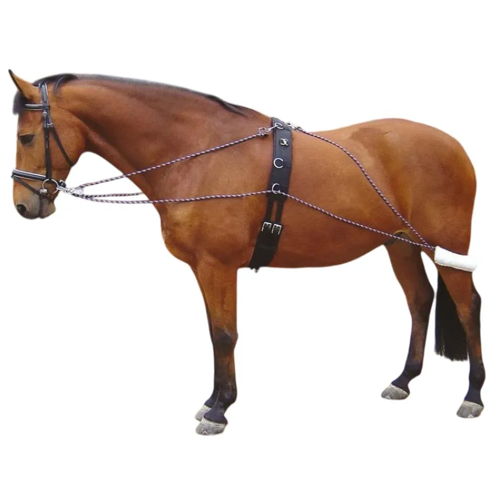 HARRY'S HORSE ENRENEMENT TYPE PESSOA CHEVAL> Enrênements Et Travail À Pied·Enrênements Travail À Pied