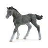 SCHLEICH FIGURINE POULAIN TRAKEHNEN>Enfant Figurines·Figurines Liées À L'Équitation