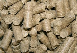 KERBL FRIANDISE DELIZIA 1KG><noscript><img width=