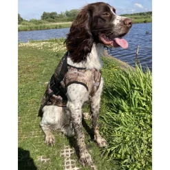 GILET CHAUD ET CAMO POUR CHIEN><noscript><img width=