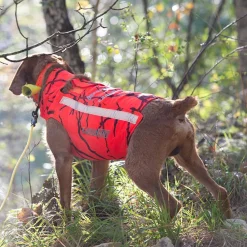 CANIHUNT GILET DEFENDER 2.0 ORANGE CAMO><noscript><img width=