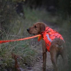CANIHUNT GILET DEFENDER 2.0 ORANGE CAMO><noscript><img width=