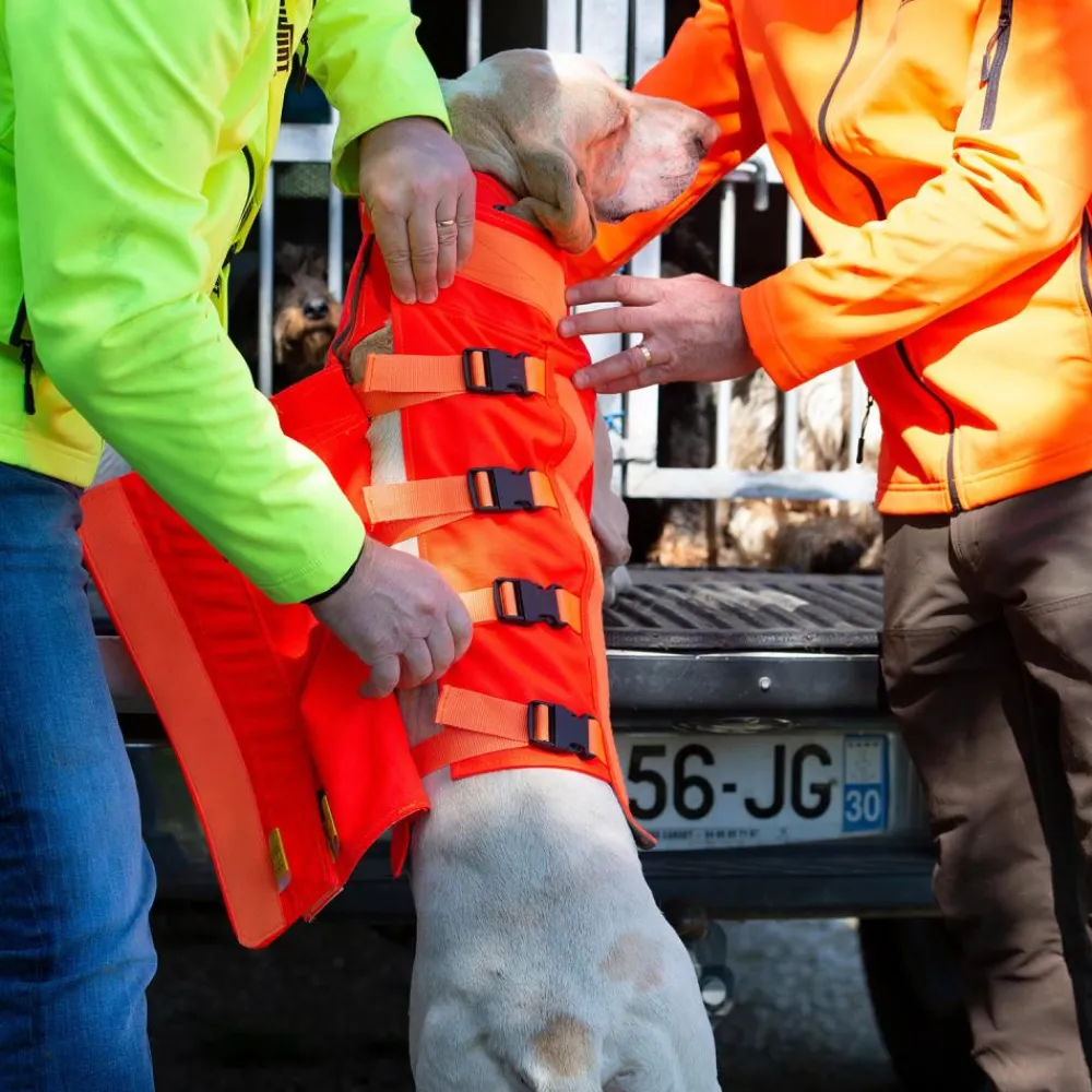 CANIHUNT GILET DOG ARMOR V3 ORANGE> Gilets Et Manteaux·Gilets De Protection Kevlar|Gilets Et Manteaux·Gilets De Protection Kevlar