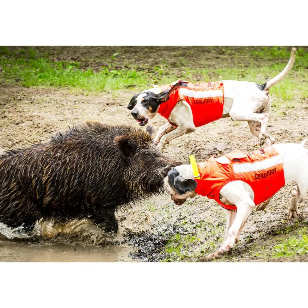 CANIHUNT GILET PROTECT ECO ORANGE> Gilets Et Manteaux·Gilets De Protection Chiens|Gilets Et Manteaux·Gilets De Protection Chiens