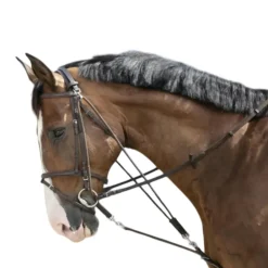 RIDING WORLD GOGUE POULIES HAVANE> Enrênements Et Travail À Pied·Enrênements Travail Monté