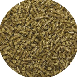 REVERDY GRANULE ADULT SPECIFIC ENERGY 20KG> Aliments Pour Chevaux·Alimentation Cheval Digestion|Aliments Pour Chevaux·Alimentation Cheval Digestion
