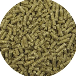 REVERDY GRANULES ADULT ENERGY 20KG> Aliments Pour Chevaux·Alimentation Cheval Performance|Aliments Pour Chevaux·Alimentation Cheval Performance