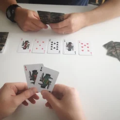 TERRES & EAUX JEU DE CARTES T&E><noscript><img width=