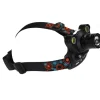 TERZEO PASSIONNÉS DE NATURE LAMPE FRONTALE 2 MODES 900 LUMENS> Lampes Frontales·Lampes Frontales Rechargeables|Éclairage·
