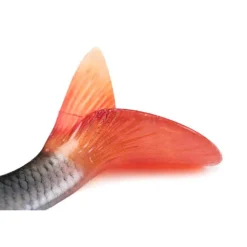 FOX RAGE LEURRE REPLICANT ULTRA REAL 10CM><noscript><img width=