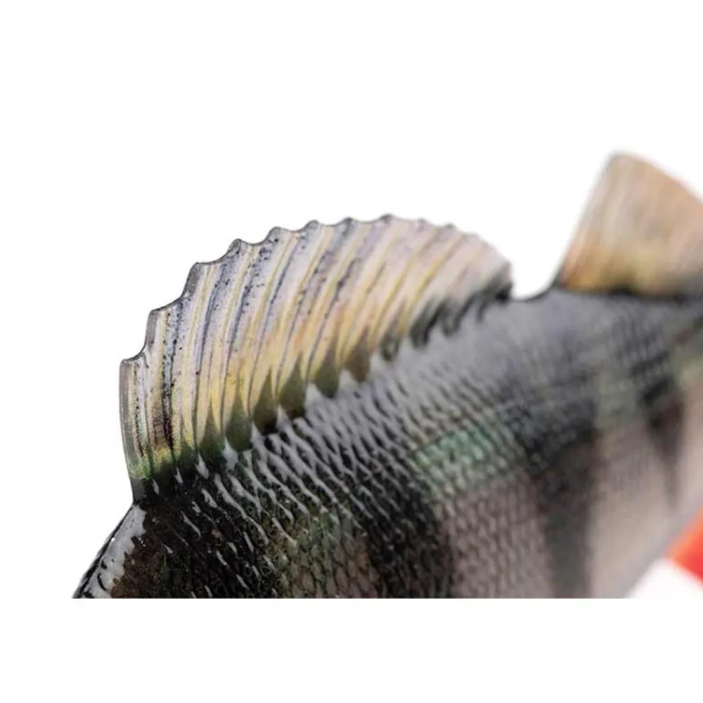 FOX RAGE LEURRE REPLICANT ULTRA REAL 14CM> Leurres Souples Carnassiers·Leurres Souples Fox Rage