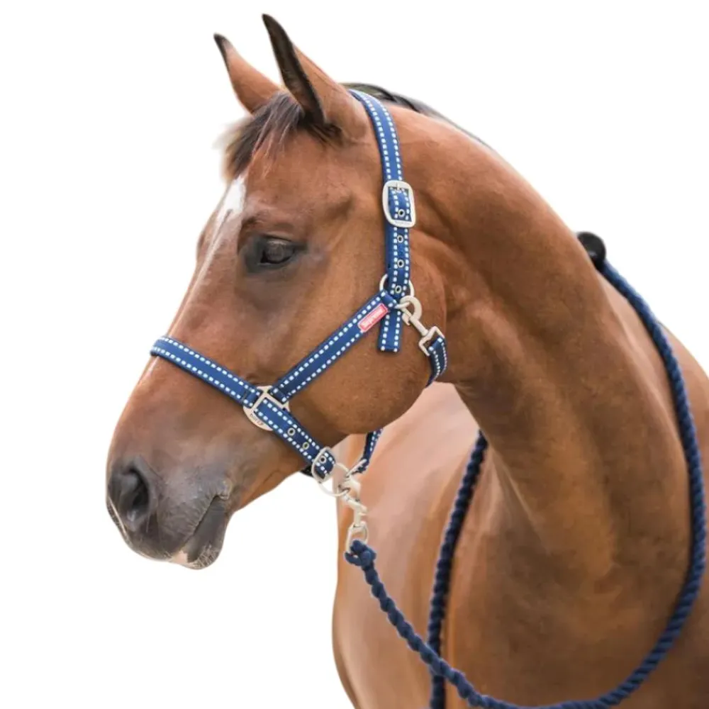 HORZE LICOL AVEC LONGE COOPER MARINE> Licols Et Longes·Panoplies Licol + Longe