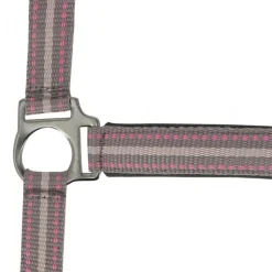 NORTON LICOL BOUCLERIE NOIRE PONEY><noscript><img width=