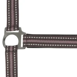 NORTON LICOL BOUCLERIE NOIRE PONEY><noscript><img width=