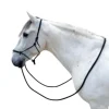 NORTON LICOL ETHOLOGIQUE AVEC RENES> Licols Et Longes·Licols Et Longes Éthologiques