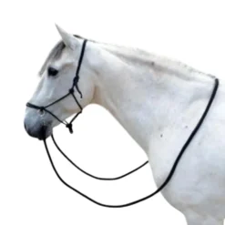 NORTON LICOL ETHOLOGIQUE AVEC RENES> Licols Et Longes·Licols Et Longes Éthologiques