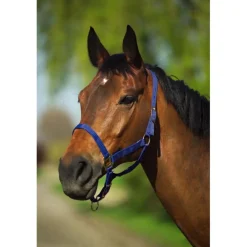 RIDING WORLD LICOL NYLON FIRST NOIR><noscript><img width=