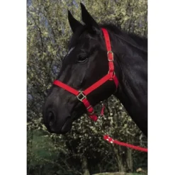 RIDING WORLD LICOL NYLON FIRST ROUGE> Licols Et Longes·Licols Synthétiques