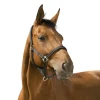 NORTON LICOL REFLECTIVE CHEVAL> Licols Et Longes·Licols Synthétiques