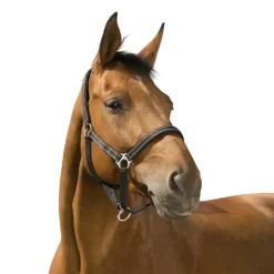 NORTON LICOL REFLECTIVE CHEVAL> Licols Et Longes·Licols Synthétiques