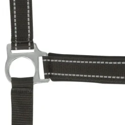 NORTON LICOL REFLECTIVE CHEVAL><noscript><img width=