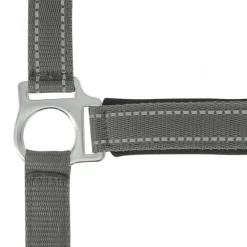 NORTON LICOL REFLECTIVE CHEVAL><noscript><img width=