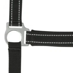 NORTON LICOL REFLECTIVE COB> Licols Et Longes·Licols Synthétiques