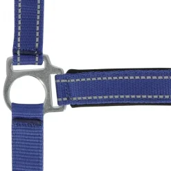 NORTON LICOL REFLECTIVE COB><noscript><img width=