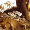 EDITION DE MONTBEL LIVRE 365 HISTOIRES DE CHASSE> Livres Sur La Chasse·Romans Et Récits De Chasse