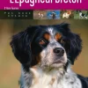 ARTEMIS LIVRE EPAGNEUL BRETON / A.FOURNIER> Livres Sur Les Animaux·Livres Sur Les Chiens