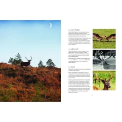 EDITION GERFAUT LIVRE VENAISON 40 RECETTES CERF, BICHE, CHEVREUIL><noscript><img width=