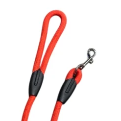 TERZEO VOS ANIMAUX LONGE NYLON RONDE DE RECHERCHE> Colliers, Laisses Et Harnais·Longes|Colliers, Laisses Et Harnais·Longes