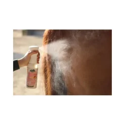 RAVENE LUSTRANT EASY SHINE INTENSE 500ML> Hygiène Et Douche·Démêlants Et Détachants