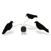 TERZEO CHASSEURS MANEGE A CORBEAUX X3> Chasse Des Nuisibles·Formes Et Blettes De Pies Et Corbeaux