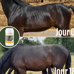 NATURAL INNOV NATURAL'DIGEST><noscript><img width=