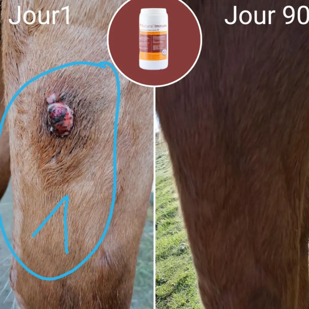 NATURAL INNOV NATURAL'IMMUNE> Compléments Alimentaires·Muscles, Poids Et Peau