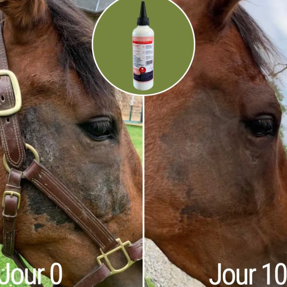 NATURAL INNOV NATURALITCH> Premiers Soins·Soin Des Plaies