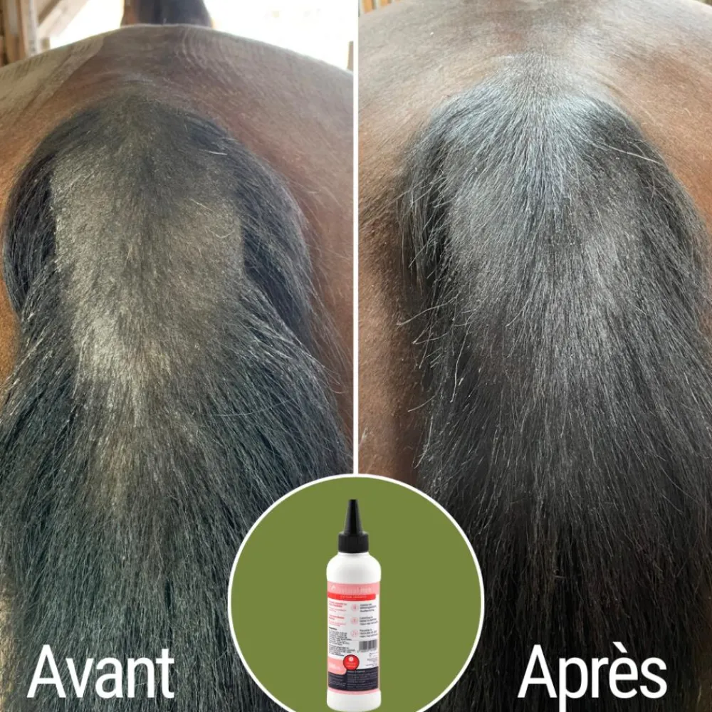 NATURAL INNOV NATURALITCH> Premiers Soins·Soin Des Plaies