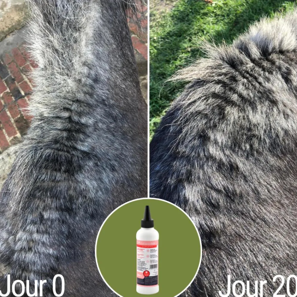 NATURAL INNOV NATURALITCH> Premiers Soins·Soin Des Plaies