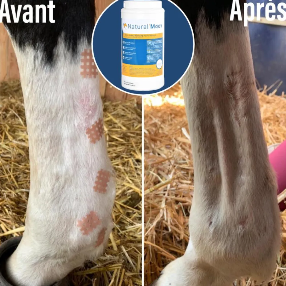 NATURAL INNOV NATURAL'MOOV> Compléments Alimentaires·Locomotion