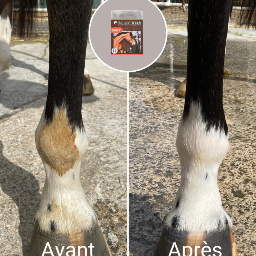 NATURAL INNOV NATURALWASH DAILY> Hygiène Et Douche·Shampoings Cheval