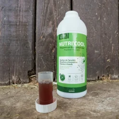 RAVENE NUTRI'COOL 900ML> Compléments Alimentaires·Comportement Et Stress