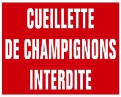 KROMA PANNEAU AKILUX CUEILL.CHAMPIGNONS> Panneaux Signalétiques·Panneaux Signalétiques Divers|Panneaux Signalétiques·Panneaux Signalétiques Divers