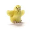 ANIMA PELUCHE POUSSIN 10CM>Enfant Peluches·Peluches Liées À La Nature