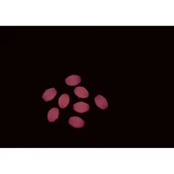 VERCELLI PERLES MOLLES OVALES><noscript><img width=