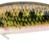SAKURA POISSON NAGEUR MINNOW S 4CM 2.6G> Leurres Truite·Leurres Truite