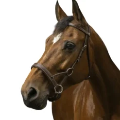 NORTON SIDE PULL CONFORT CHEVAL> Briderie·Bridons Cuir